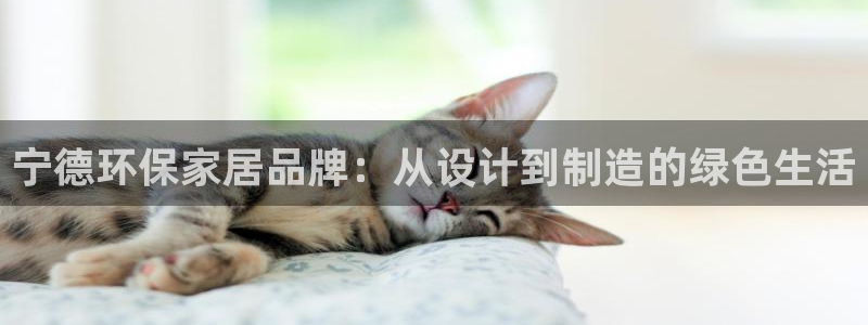 杏宇测速网址电脑版