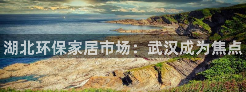 杏宇平台手机登录：湖北环保家居市场：武汉成为焦点