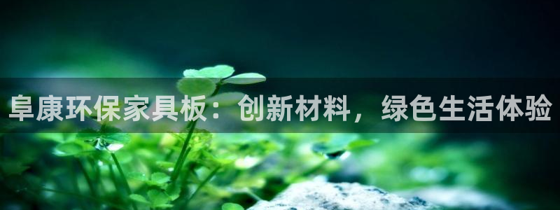 杏宇平台登录网址是什么：阜康环保家具板：创新材料，绿色生活体