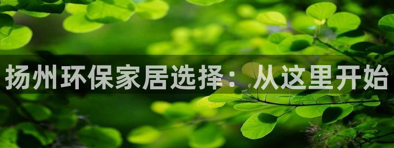 杏宇平台怎么注册：扬州环保家居选择：从这里开始