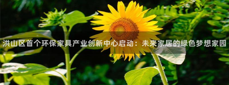 杏宇平台官网网址