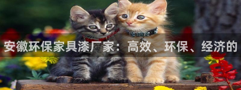 杏宇平台已7O777