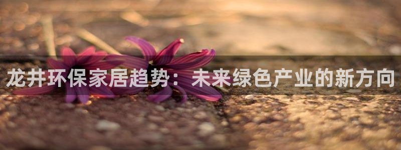 杏宇平台代理
