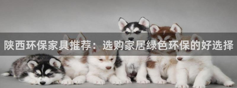 杏宇平台服务中心怎么样