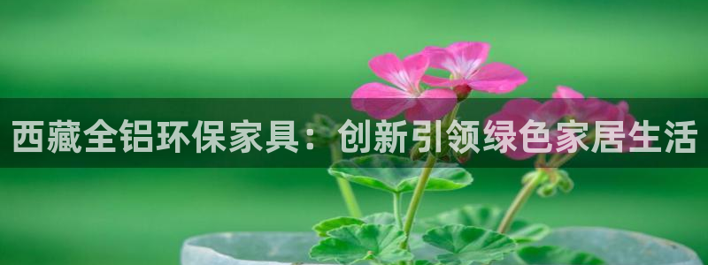 杏宇平台已7O777