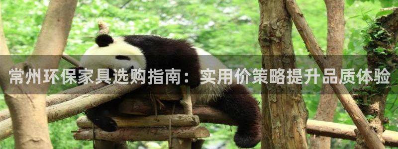 杏宇平台代理怎么赚钱的