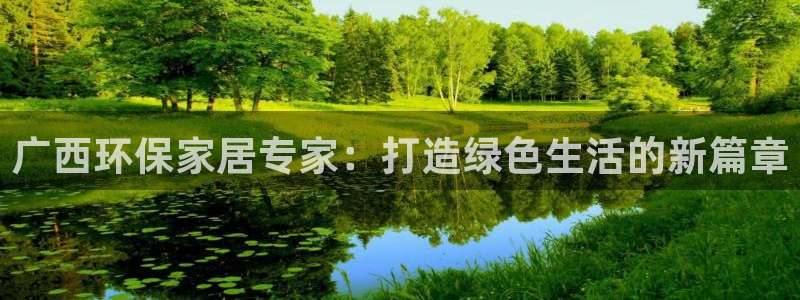 杏宇平台登录入口：广西环保家居专家：打造绿色生活的新篇章