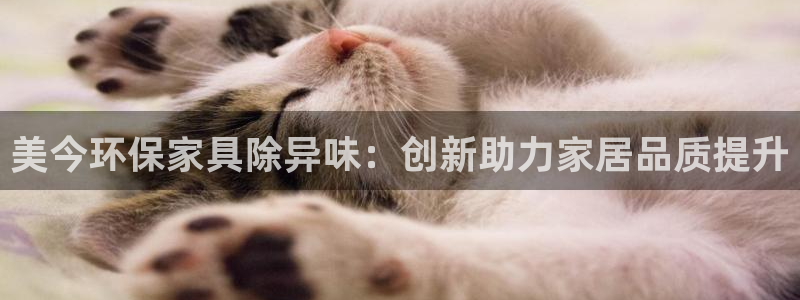 杏宇平台代理：美今环保家具除异味：创新助力家居品质提升