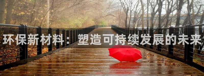 杏宇平台几年了