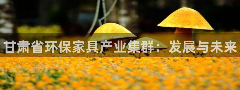杏宇平台网页版