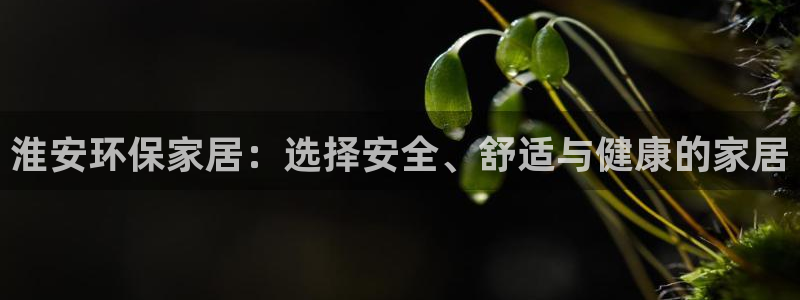 杏宇线路测速登录中心：淮安环保家居：选择安全、舒适与健康的家