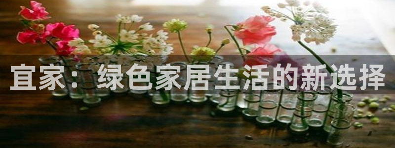 杏宇平台官方网站下载：宜家：绿色家居生活的新选择